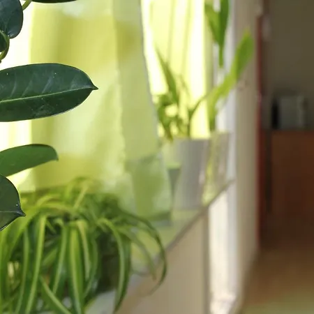 Cozyplace * Задар