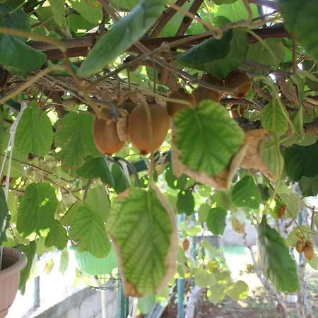 Cozyplace Appartamento