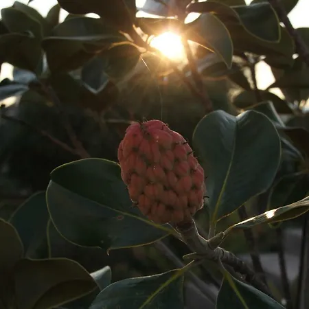 Cozyplace Задар