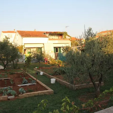 Cozyplace Appartamento