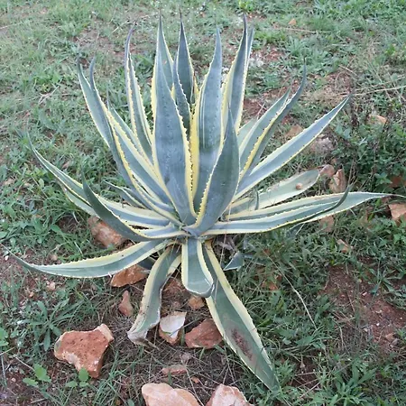 Апартаменты Cozyplace