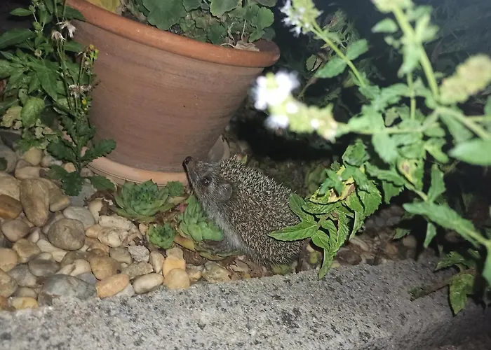 Апартаменты Cozyplace