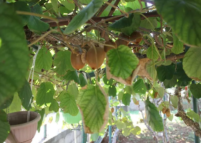 Cozyplace Appartamento