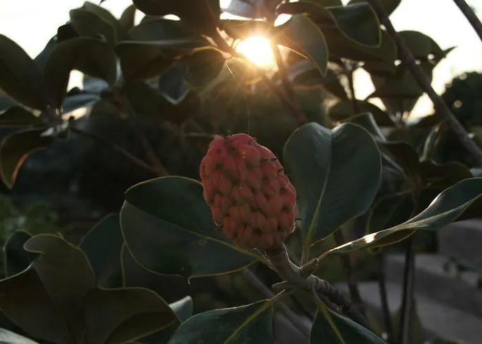 Cozyplace Задар