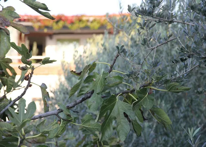 Cozyplace Appartement