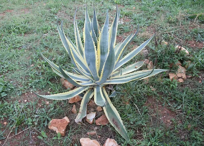 Appartamento Cozyplace