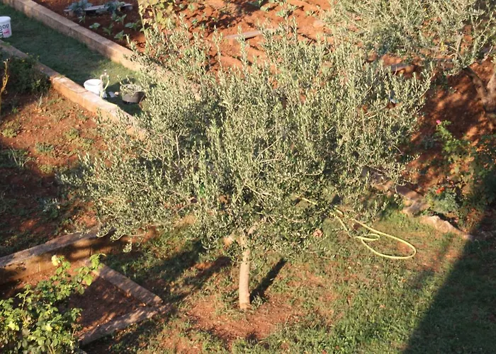 Апартаменты Cozyplace Задар